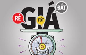 Sơn Abott | Sơn tường loại nào rẻ và tốt? | Abott.vn